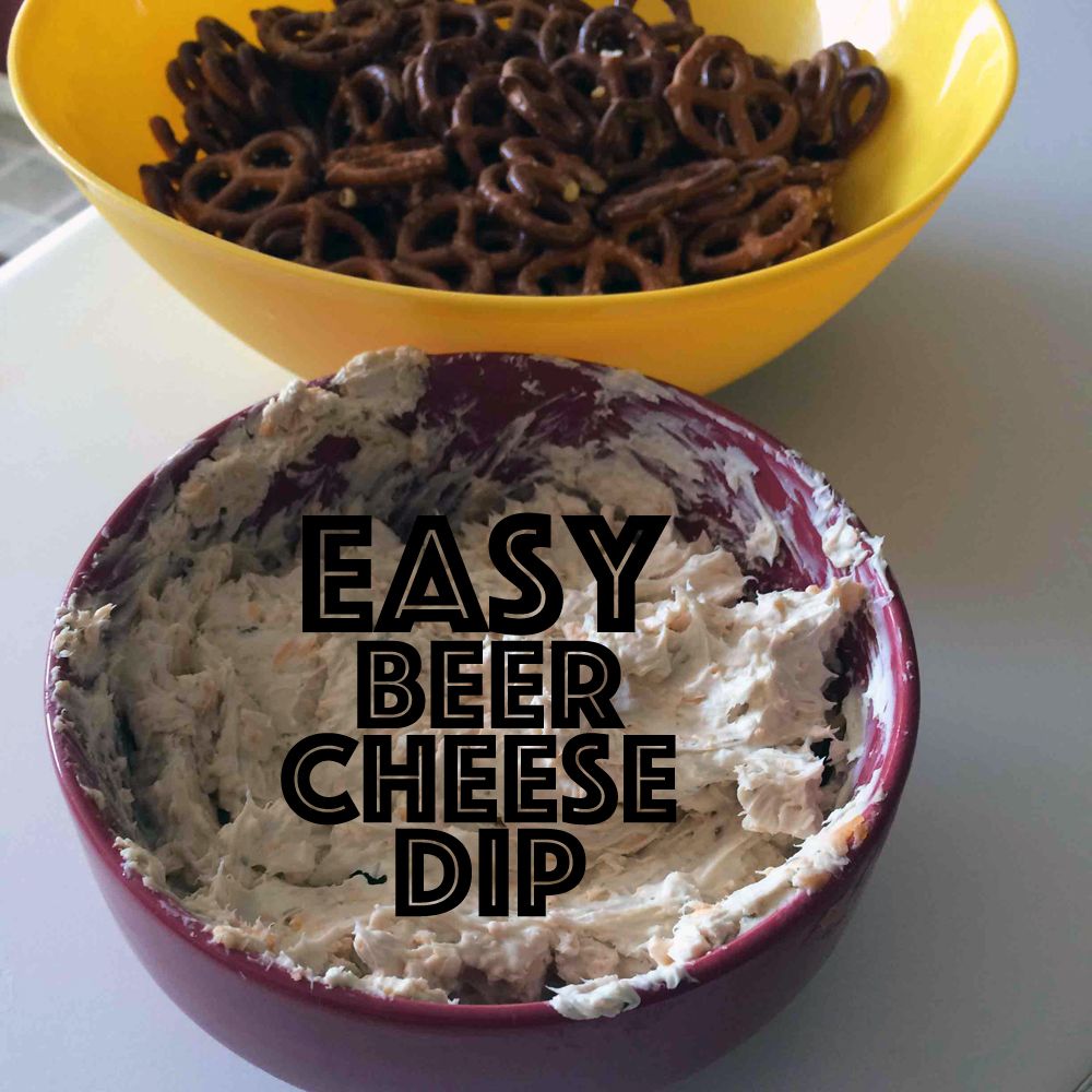 Come Fly With Us Easy Beer Cheese Dip Recipe